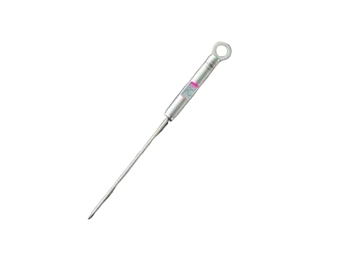 RÖSLE Termometro per gourmet, termometro per barbecue con indicazione digitale e illuminata della temperatura in °C e °F, da -40 °C a +200 °C, acciaio inox 18/10, lunghezza 21,5 cm