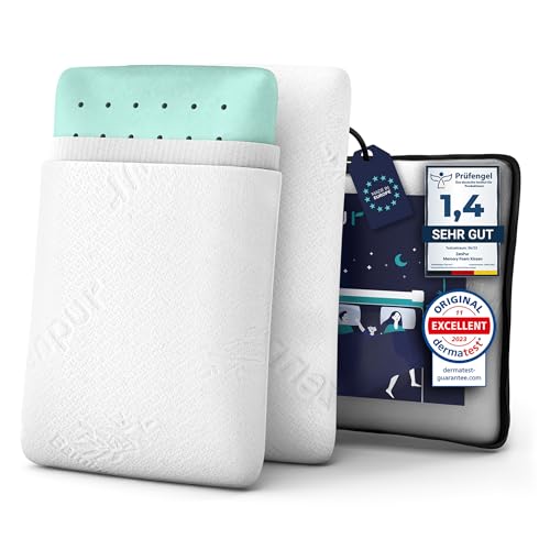 ZenPur Almohada Viscoelastica, Almohada Ortopédica con Funda de Bambú Fabricada en la EU, 2-Pack, Almohada Cervical Ideal para Dormir de Lado y para una Alineación Óptima de Cuello, Hombros y Columna