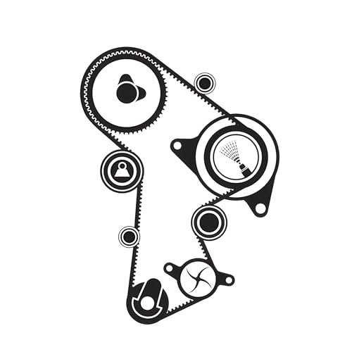 SKF VKMC 01148-2 Kit Tendicinghia con Pompa Acqua