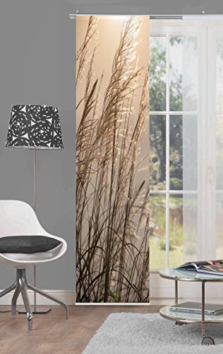 Home Fashion 87997 – 711 Caruso Tenda a Pannello con Stampa Digitale, Tessuto, Natur, 245 x 60 cm